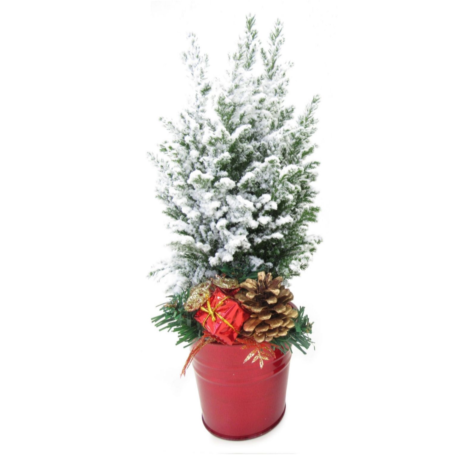 Hayloft Plants 2 x Miniature Christmas Trees in Pot with Snow&Lights ...