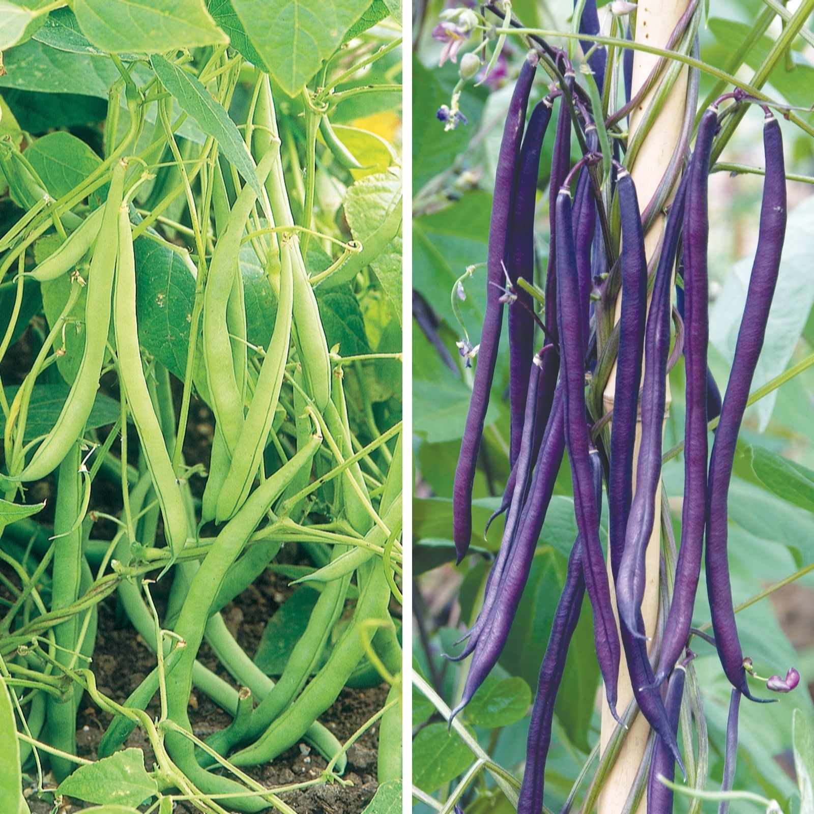 marshalls clarks shoes