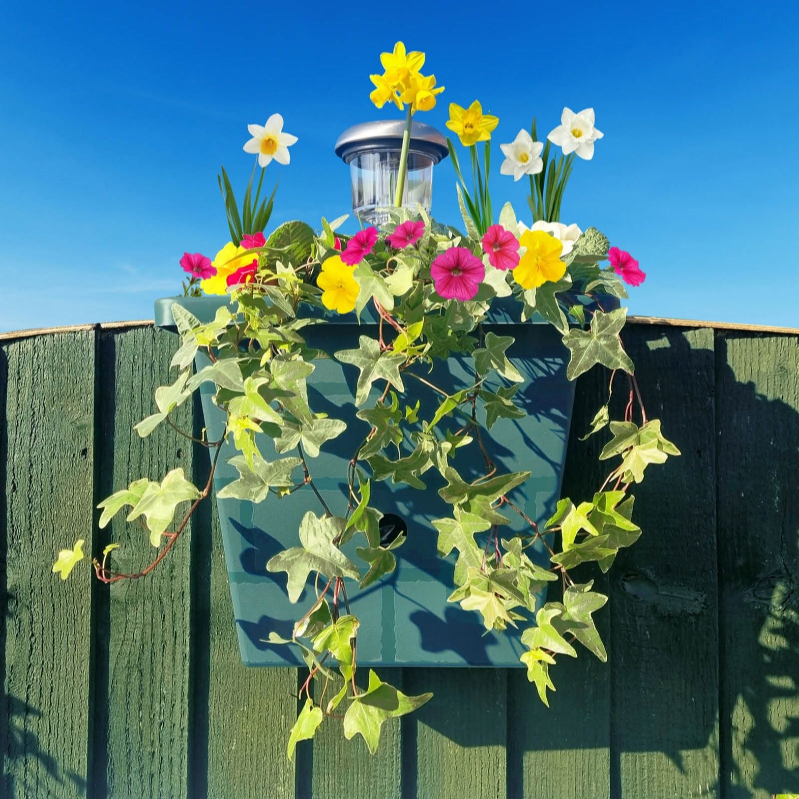 YouGarden Go IllumiWell Planter