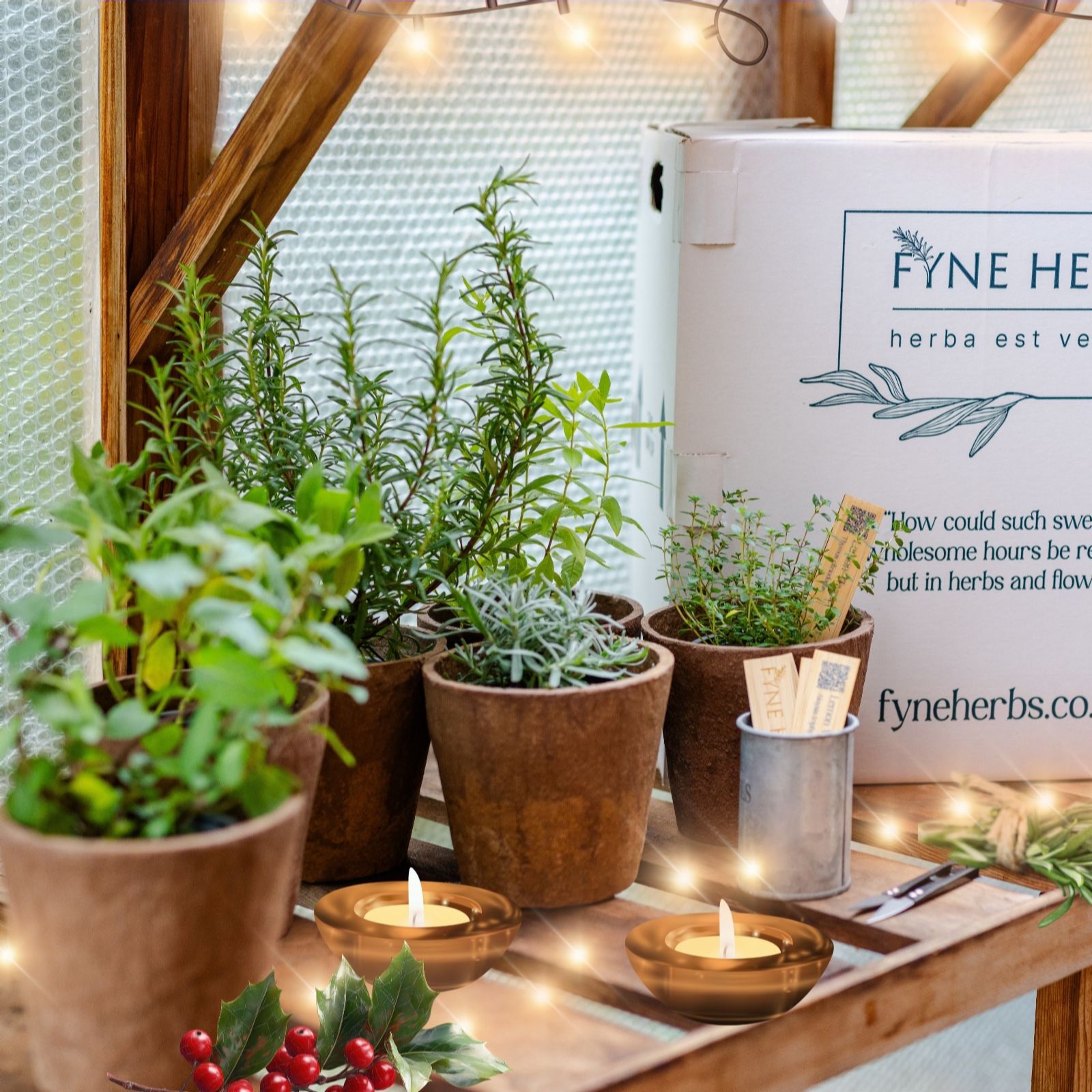 Fyne Herbs 9x 9cm Christmas Herb Gift Collection