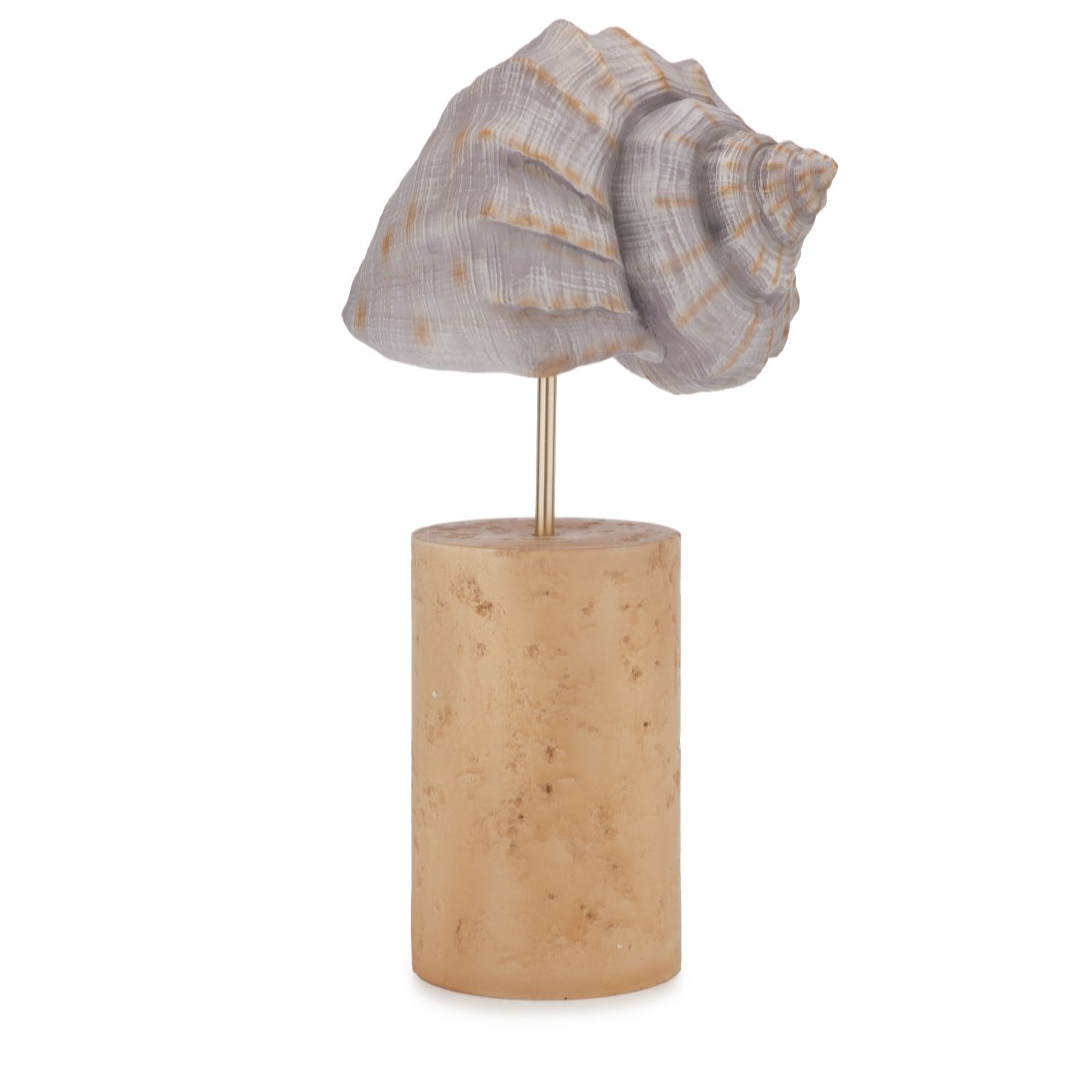 Outlet Garden Reflections Coastal Edit Conch Shell