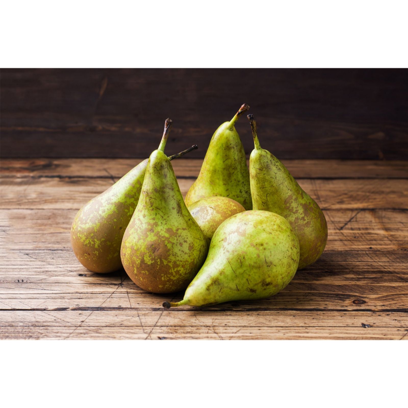 Thompson & Morgan Pear (Pyrus) Mini Conference 9cm Pot x 1