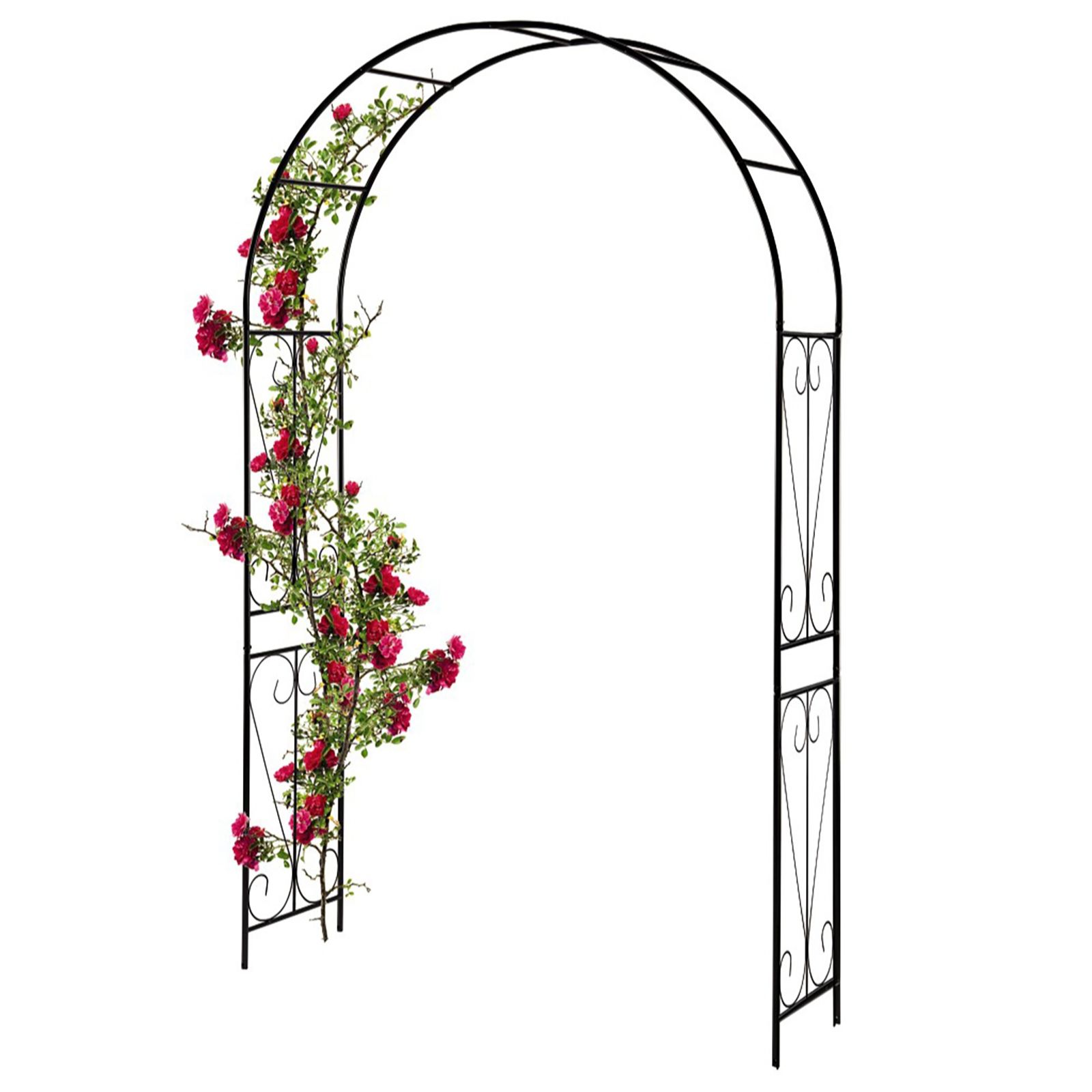 Thompson & Morgan 2.2m Garden Arch Swirl