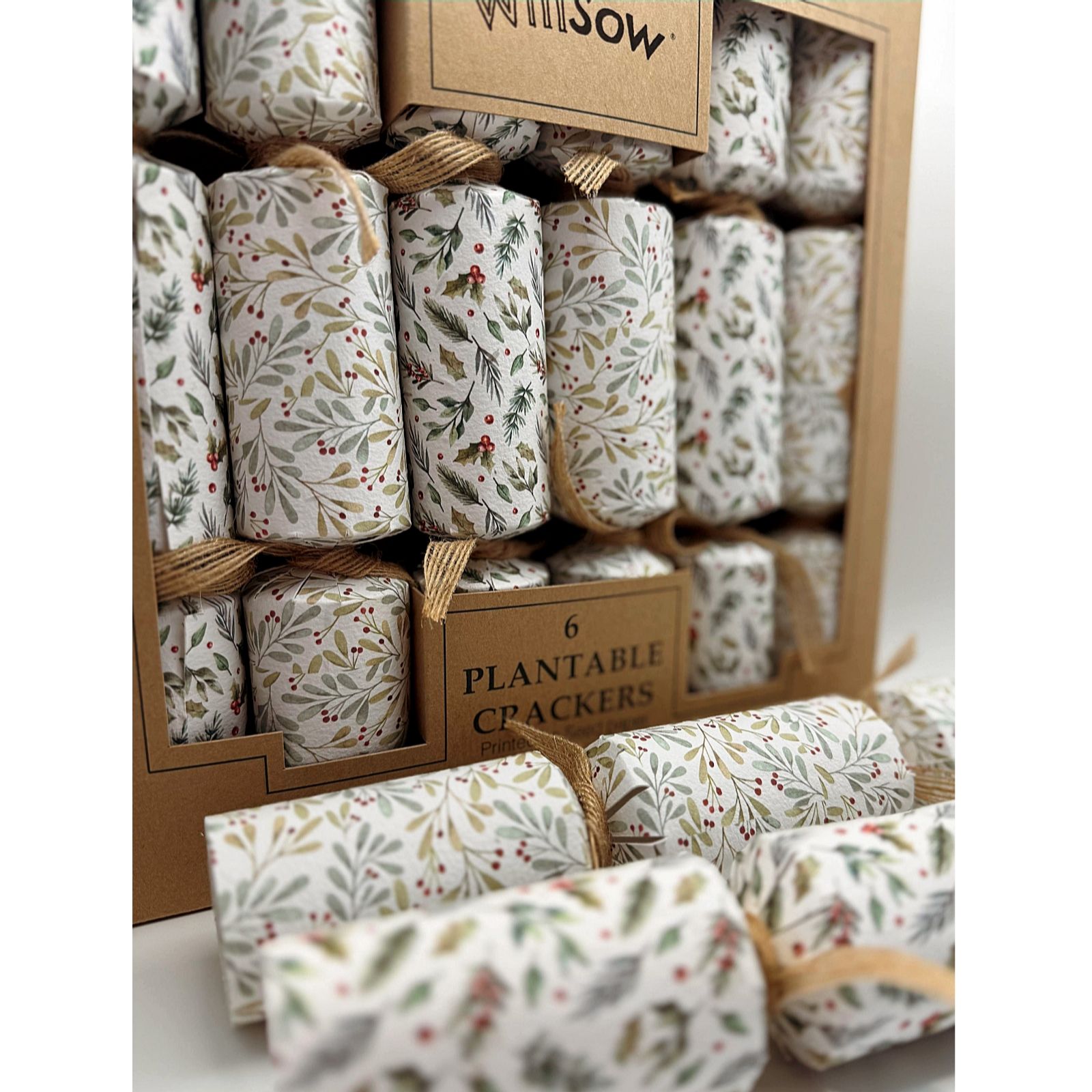 Willsow Set of 6 Plantable Christmas Crackers