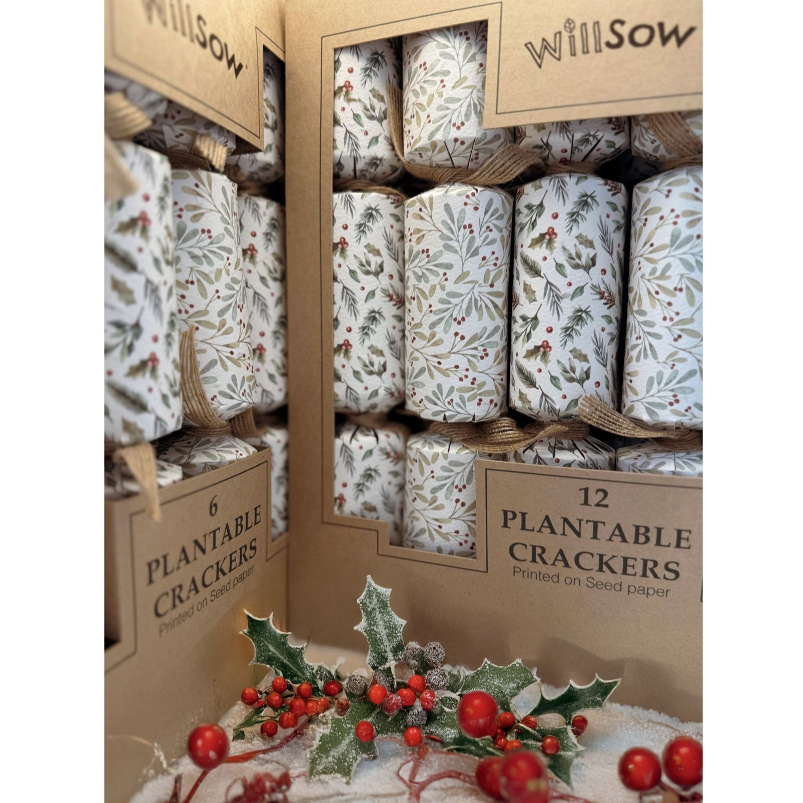 Willsow Set of 12 Plantable Christmas Crackers