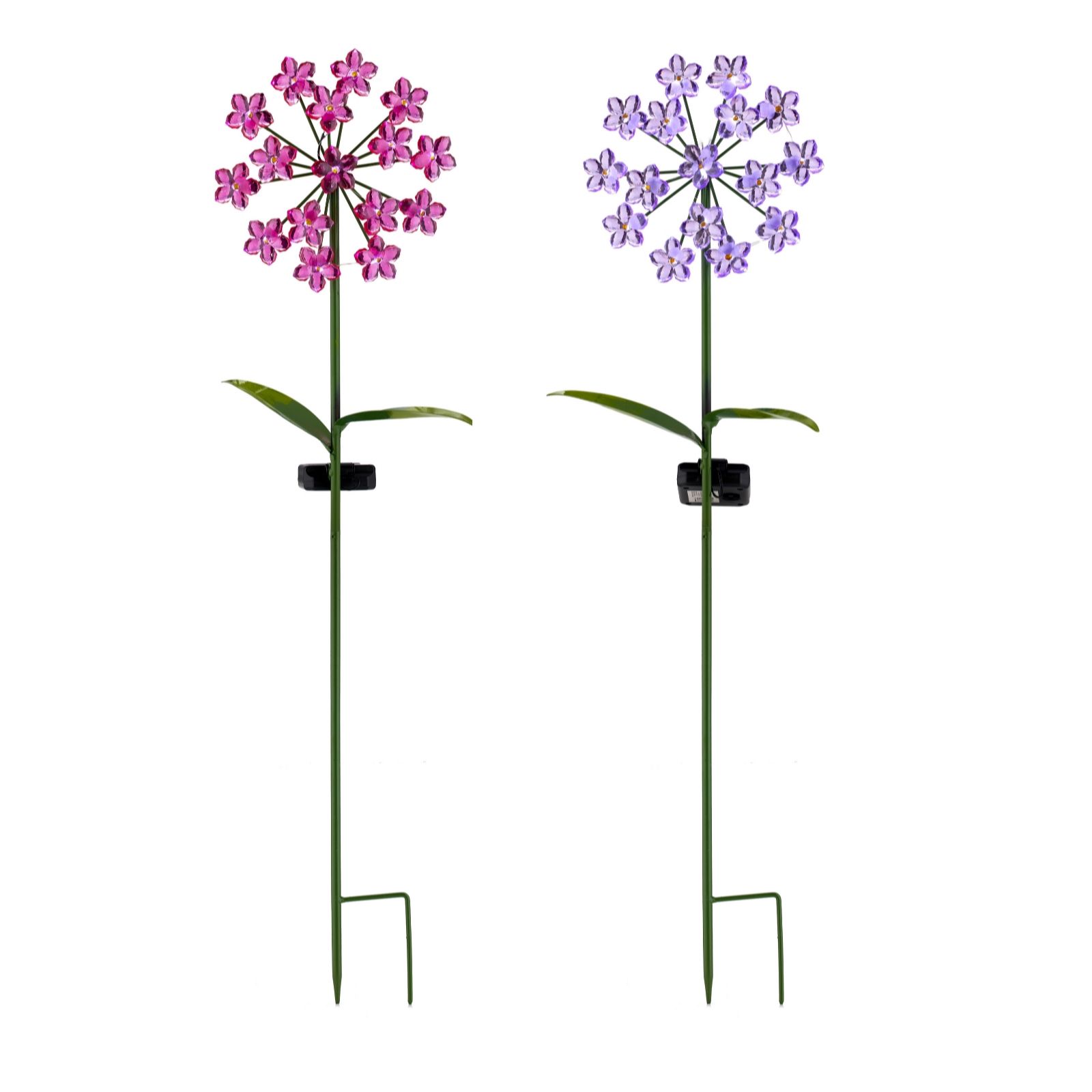 Garden Reflections Set of 2 Floral Solar Stake Lights