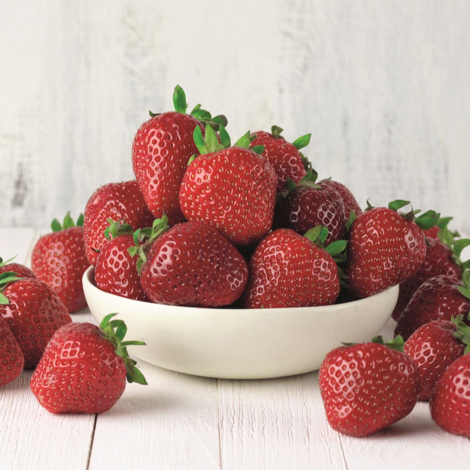 Suttons Strawberry Cambridge Favourites 10 Bare Roots