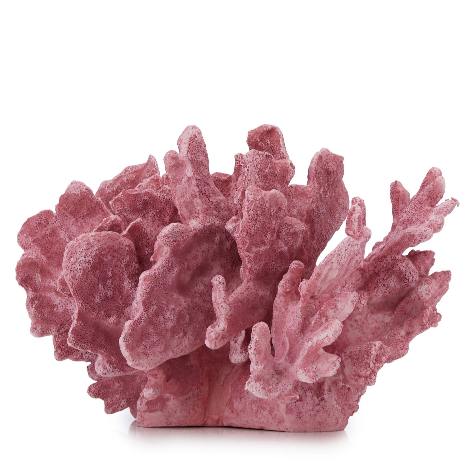 Garden Reflections Coastal Edit Decorative Coral