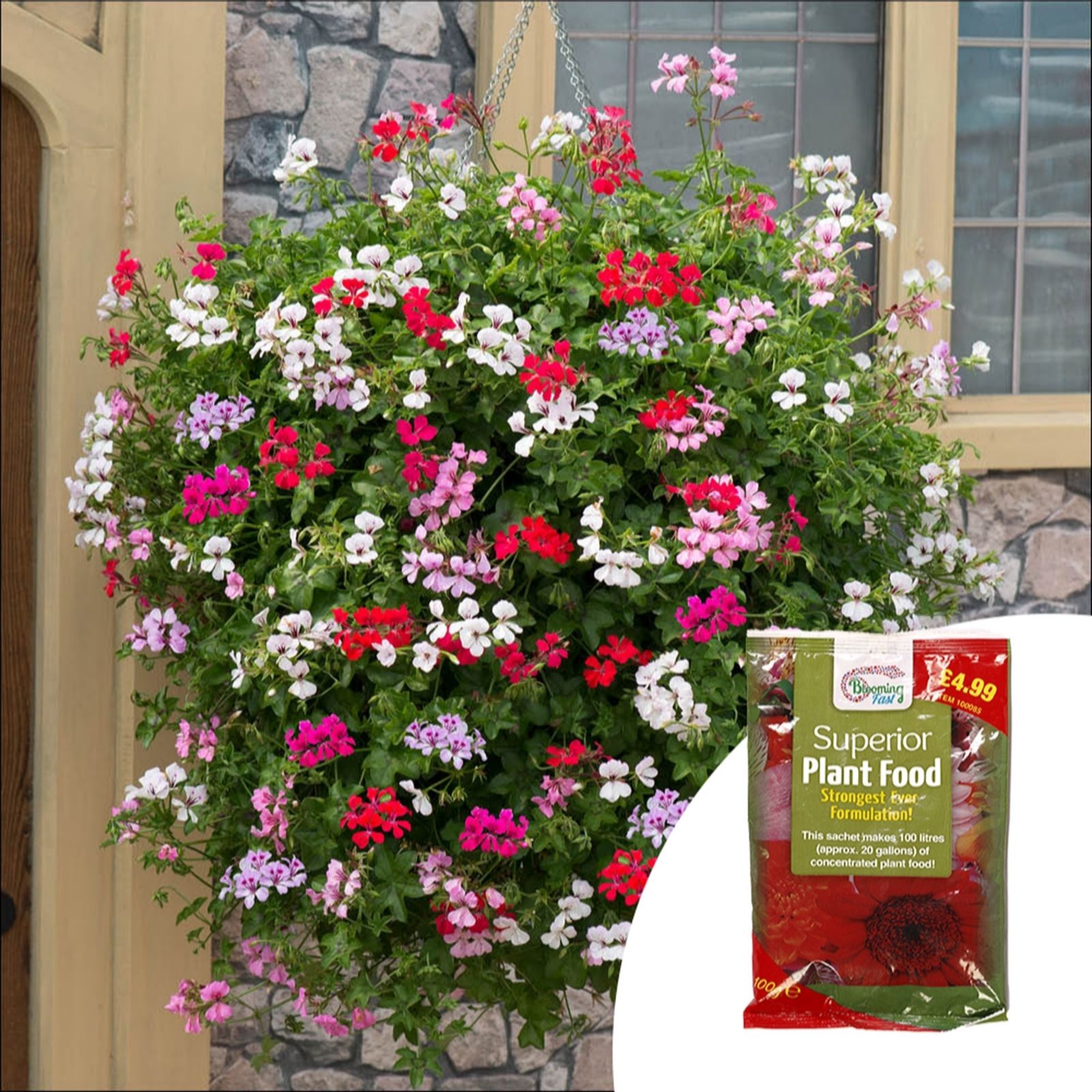 YouGarden Geranium 'Reach-out' Garden Ready Plants x20 & 100g Fertiliser