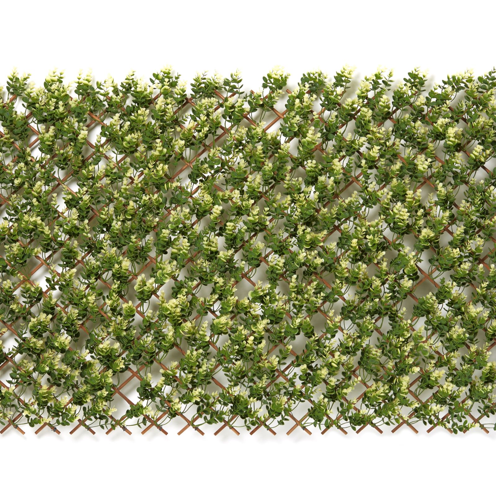 Outlet Garden Reflections Trellis in Bloom QVC UK