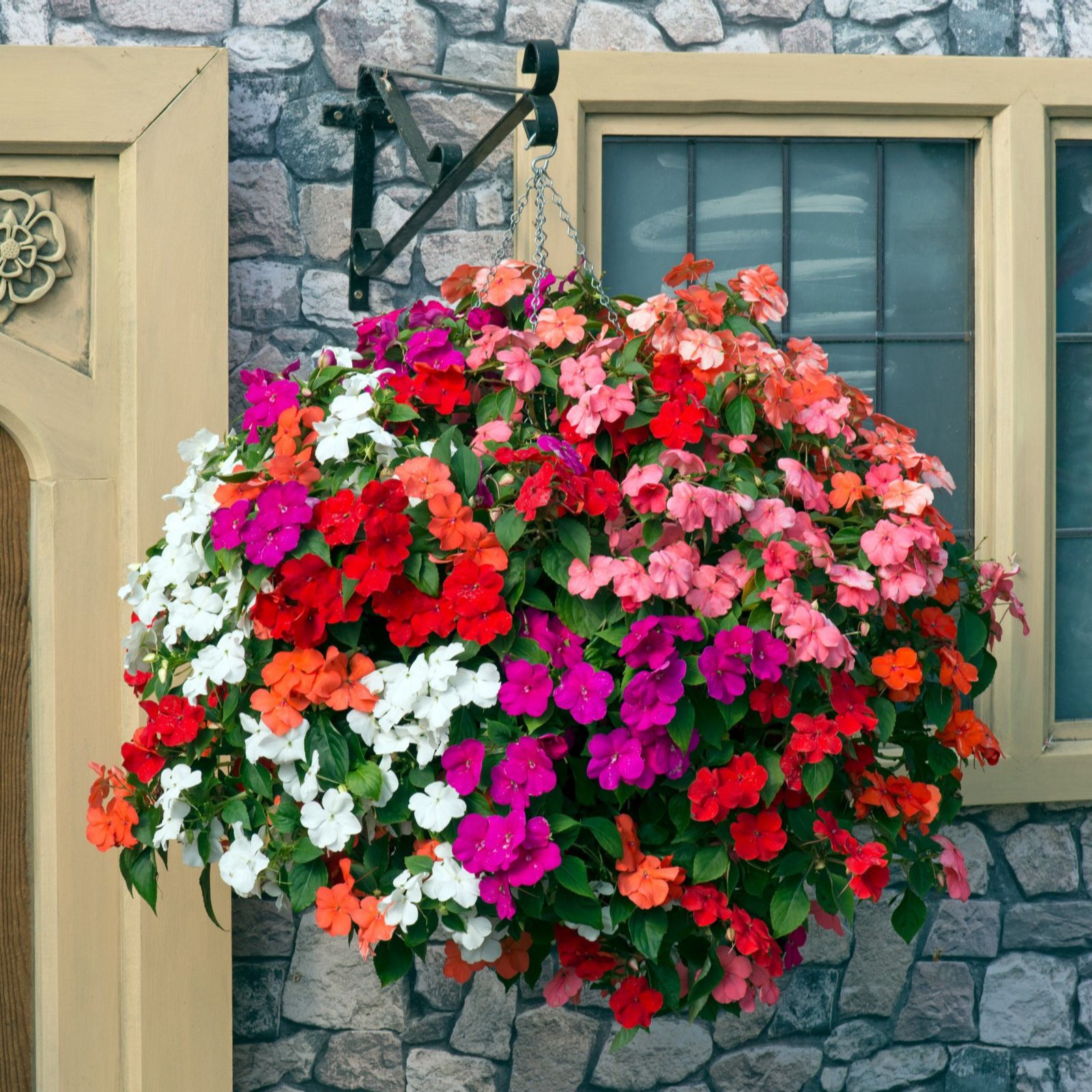 Thompson & Garden Ready Bedding Collection 6cm x60