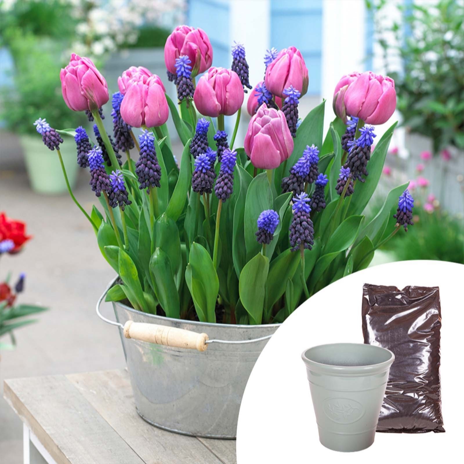 YouGarden Autumn Bulb & Planter Deal 2