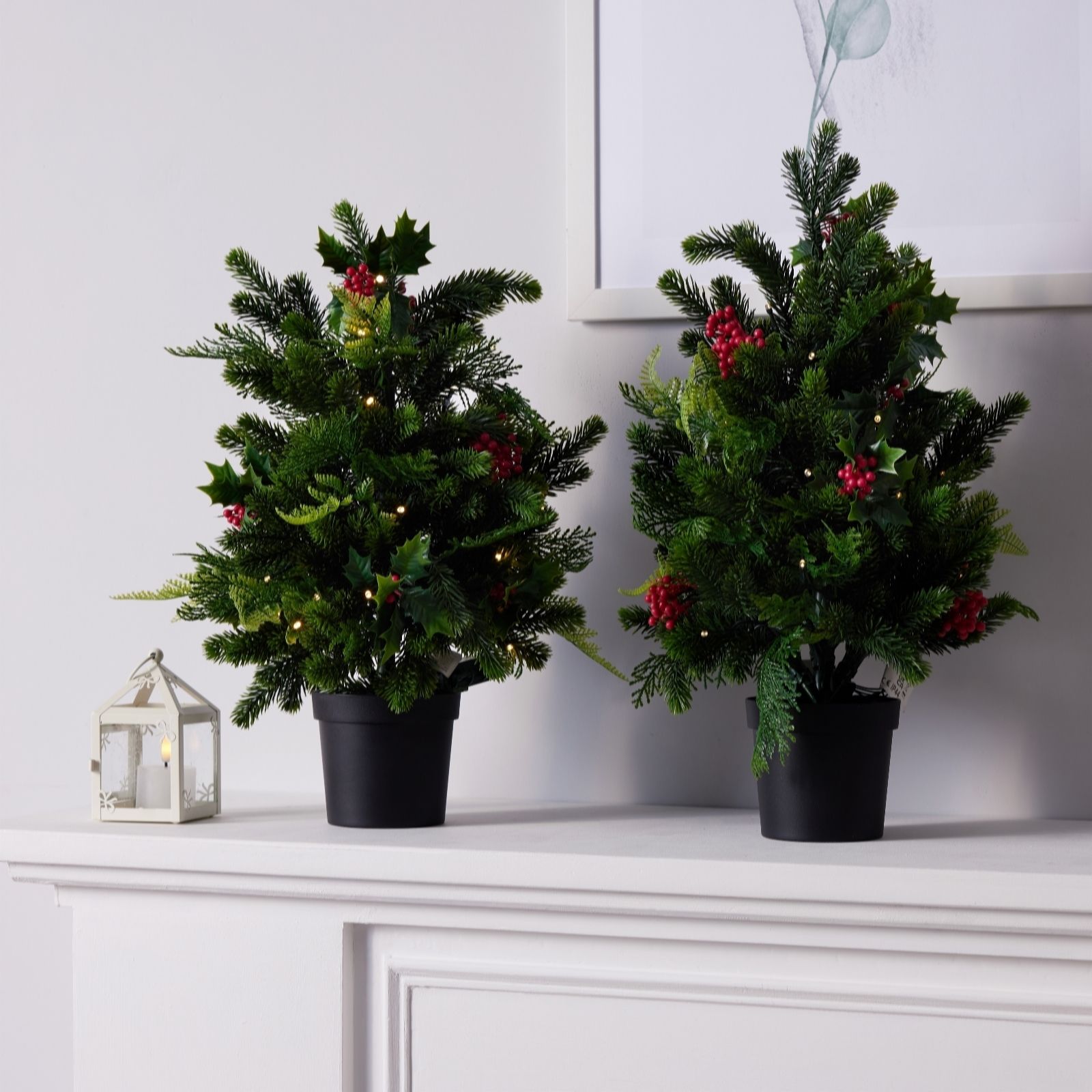 Outlet Garden Reflections 'Dress Your Door Collection' Outdoor Trees