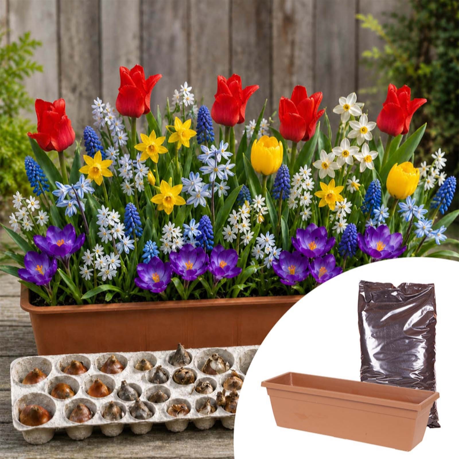 YouGarden Autumn Bulb & Planter Deal 5