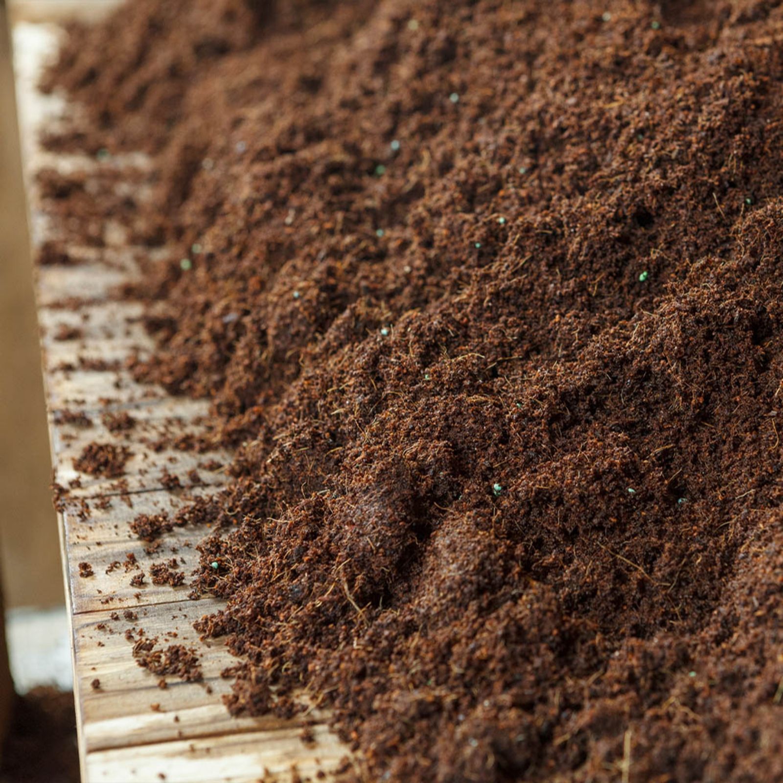 Eazy Grow MP Peat Free Coco Compost Boxed QVC UK