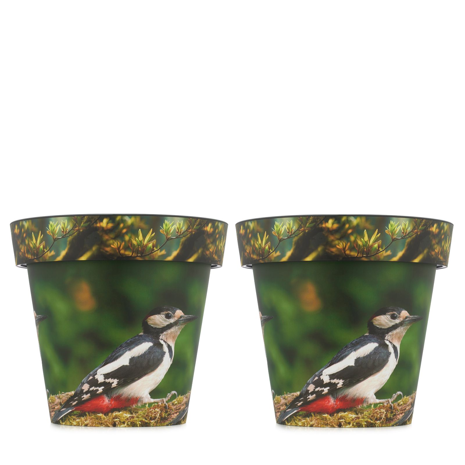 Grumpy Gardener Set of Two 37.5cm XL SongBird Planters