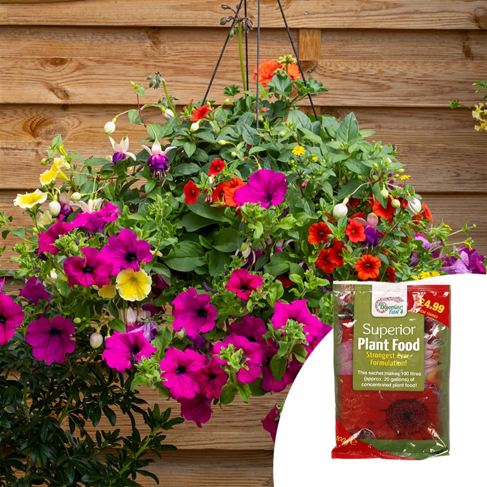 YouGarden Pair of Pre-Planted Hanging Baskets & Fertiliser