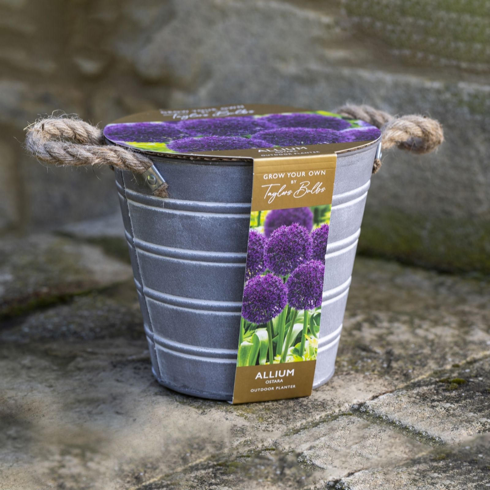 YouGarden Outdoor Metal Bucket Allium Planter