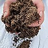 Bulrush Peat Free Compost 2x40 litres, 1 of 1