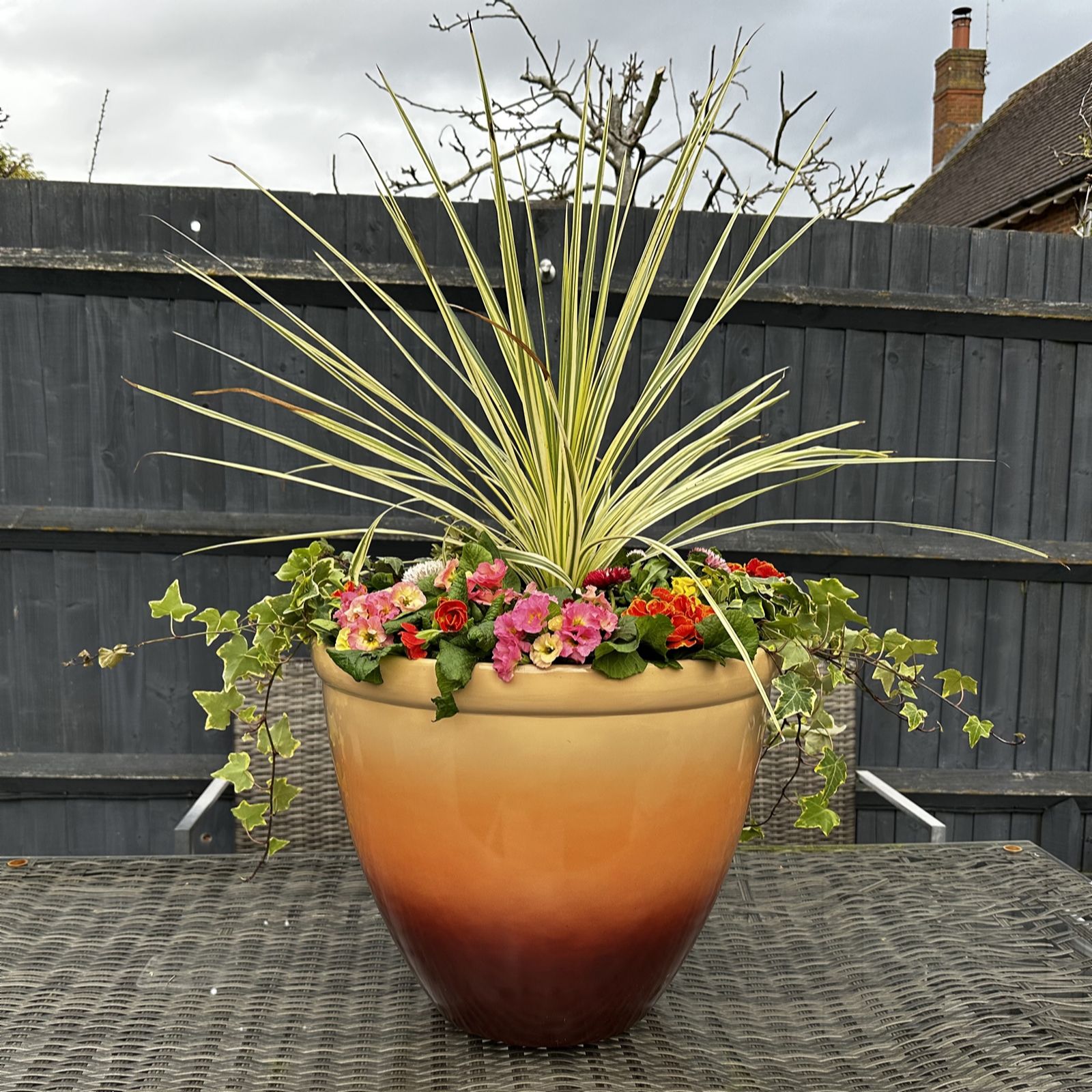 Grumpy Gardener 47cm XXL OMBRE PLANTERS