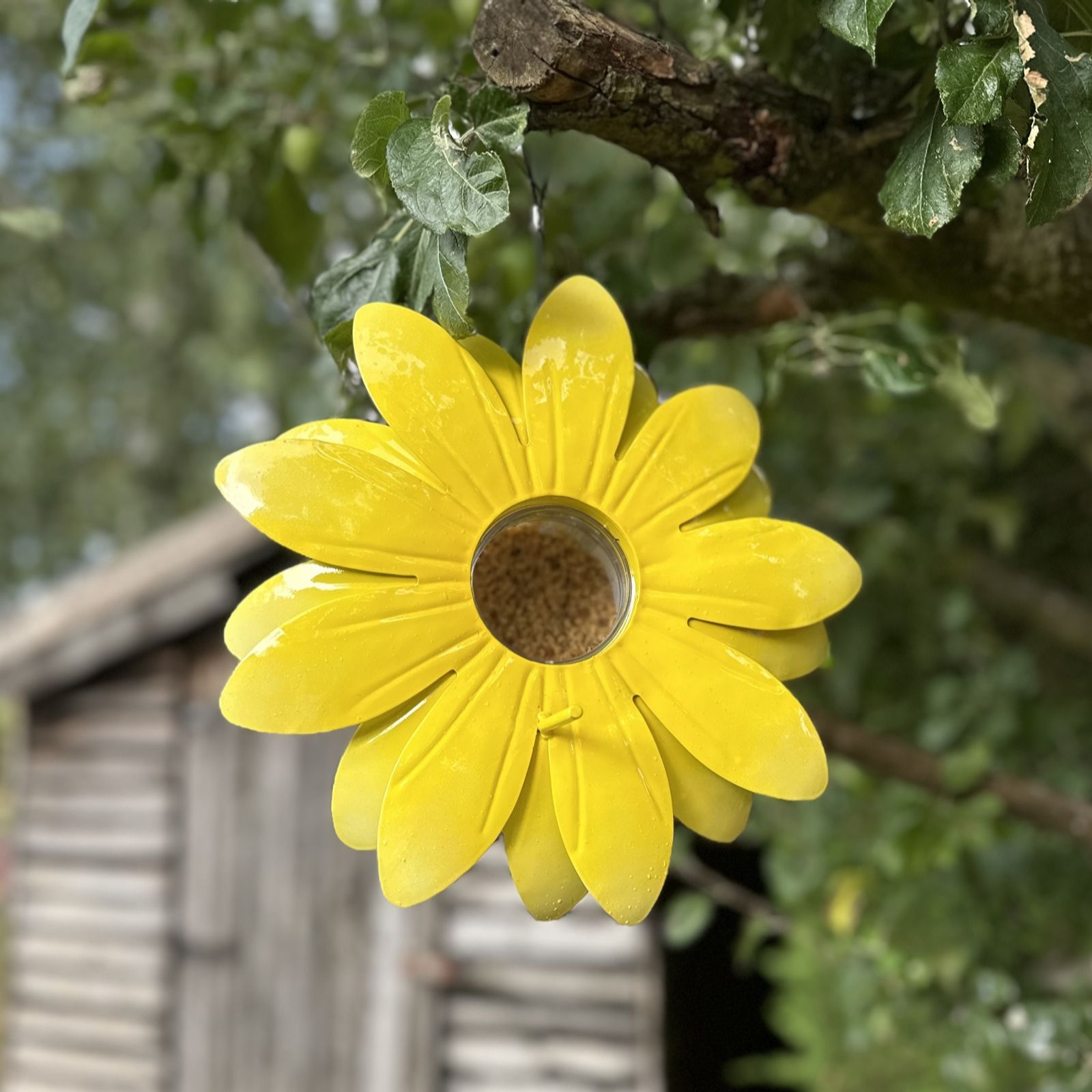 Grumpy Gardener Hanging Flower Nutpecker Holder