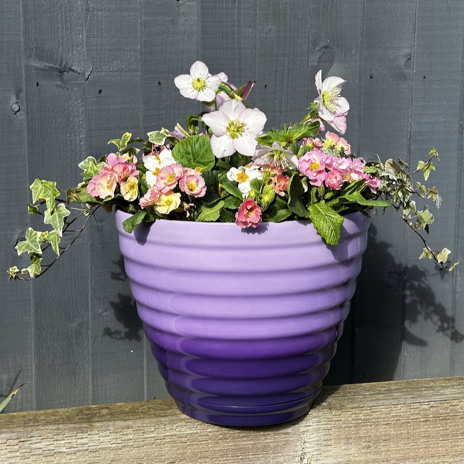 Grumpy Gardener 37.5cm LARGE OMBRE TWIST POTS