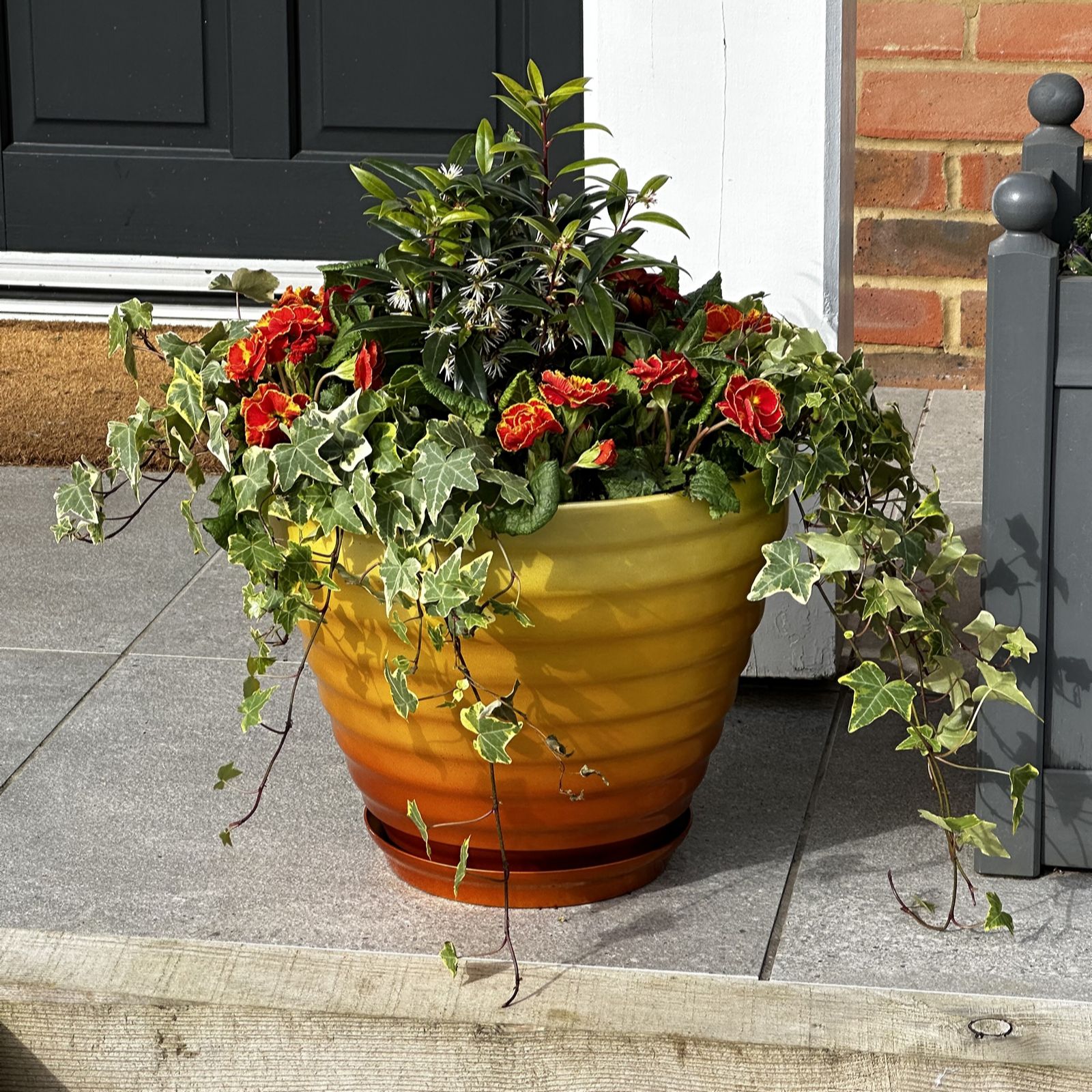 Grumpy Gardener Set of 2 37.5cm Large Ombre Twist Pot
