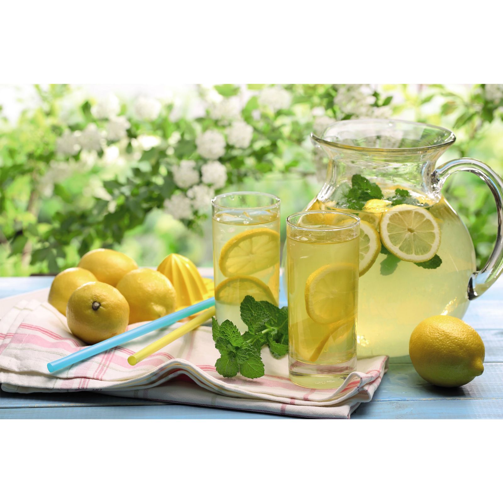 Thompson & Citrus (Lemon) Tree 9cm Pot x 1 QVC UK