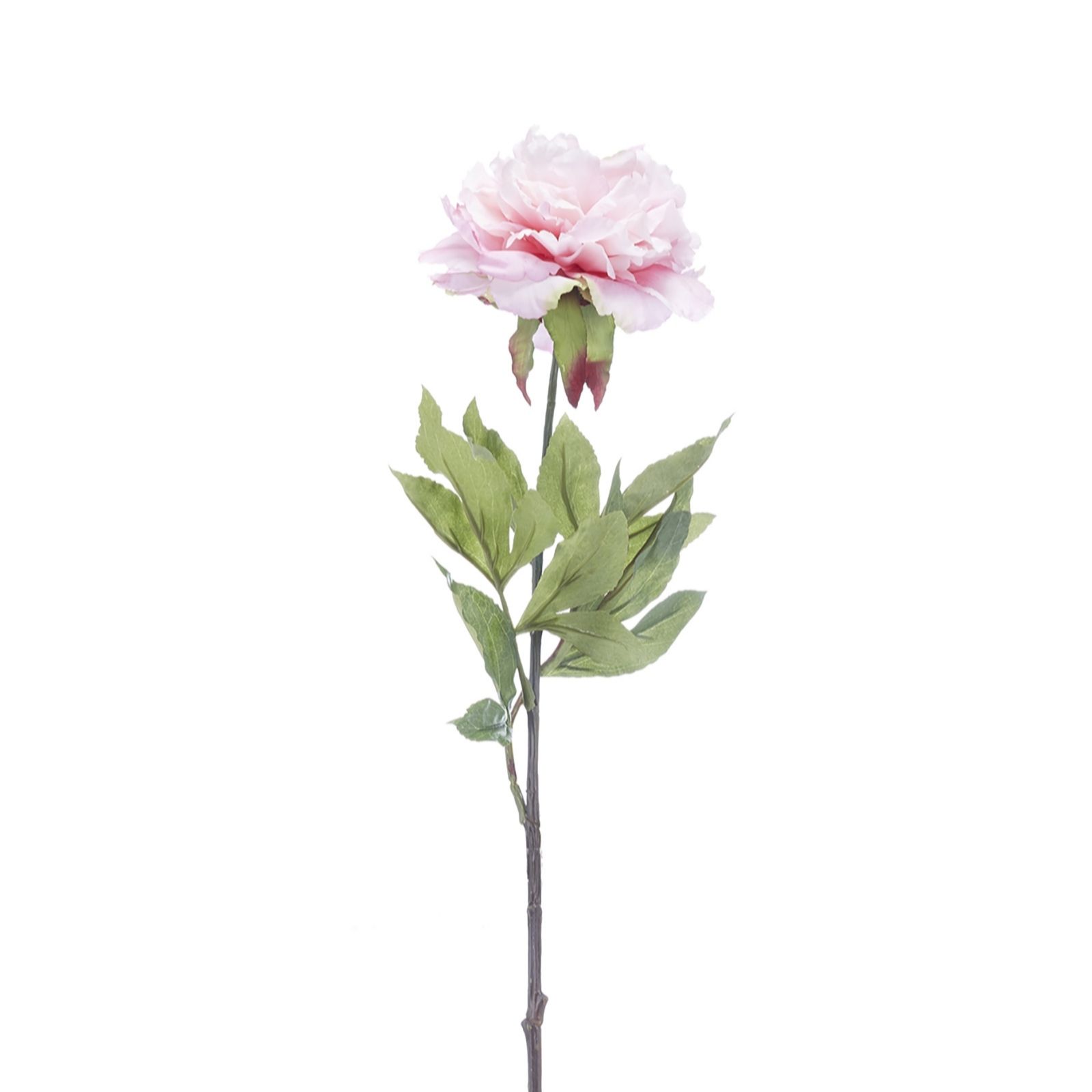 Peony Set of 3 Pink Real Touch Tree Peony Stems QVC UK