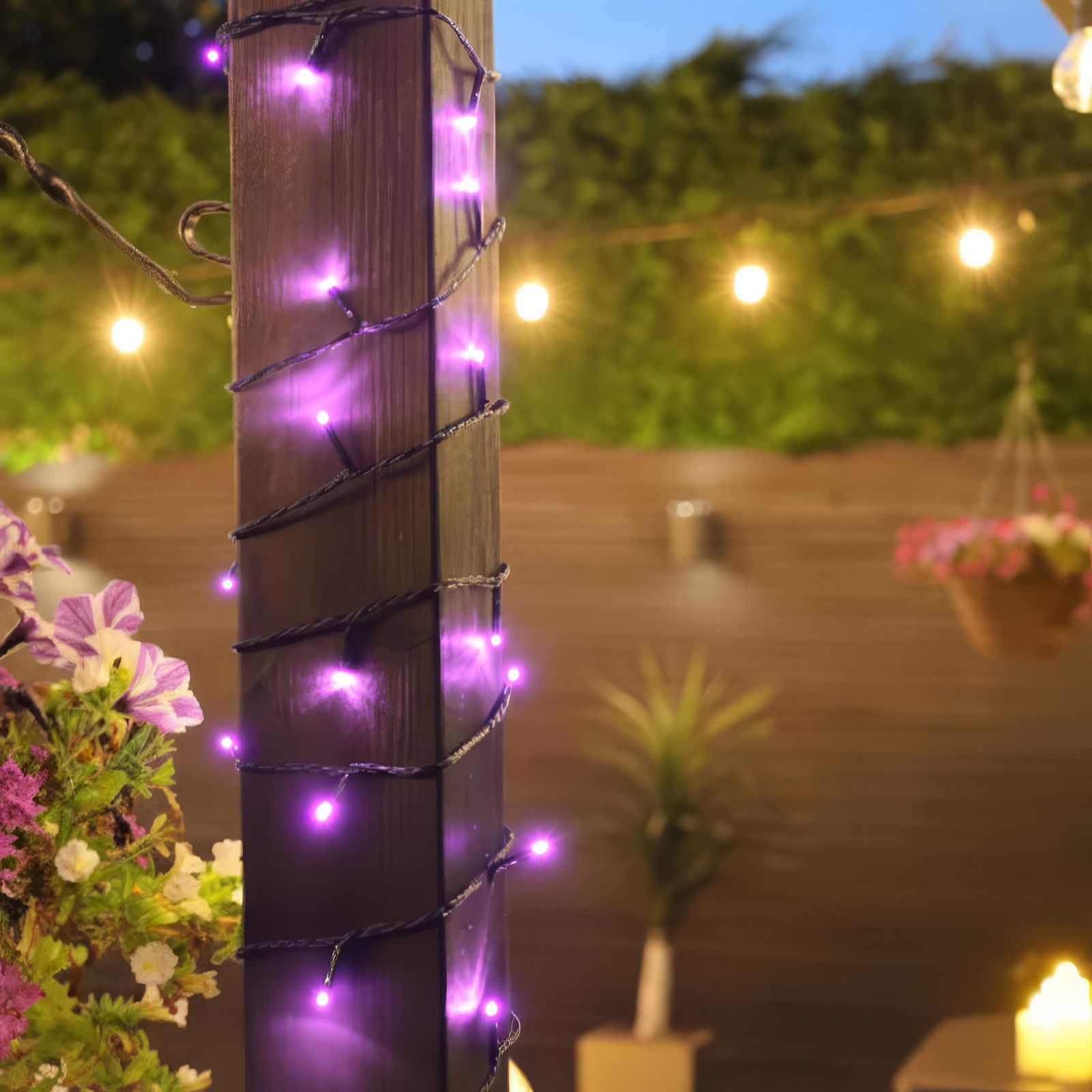 Solar Centre Brightlight Fairy Lights (10m)