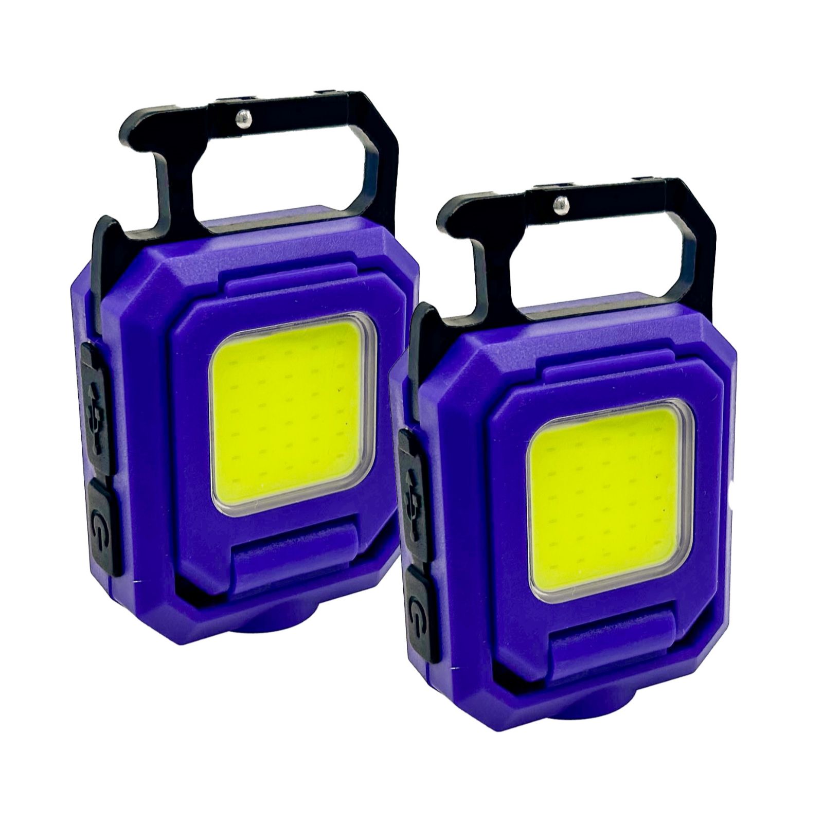 Flipo Set of 2 Adjustable Mini Spot and Flood Light