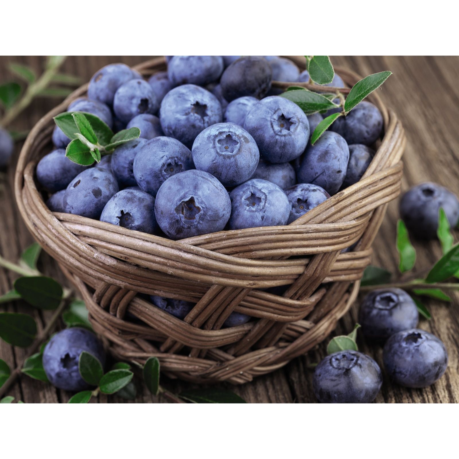 Thompson & Morgan Blueberry (Vaccinium) Bluecrop 9cm Pot x 1 - QVC UK