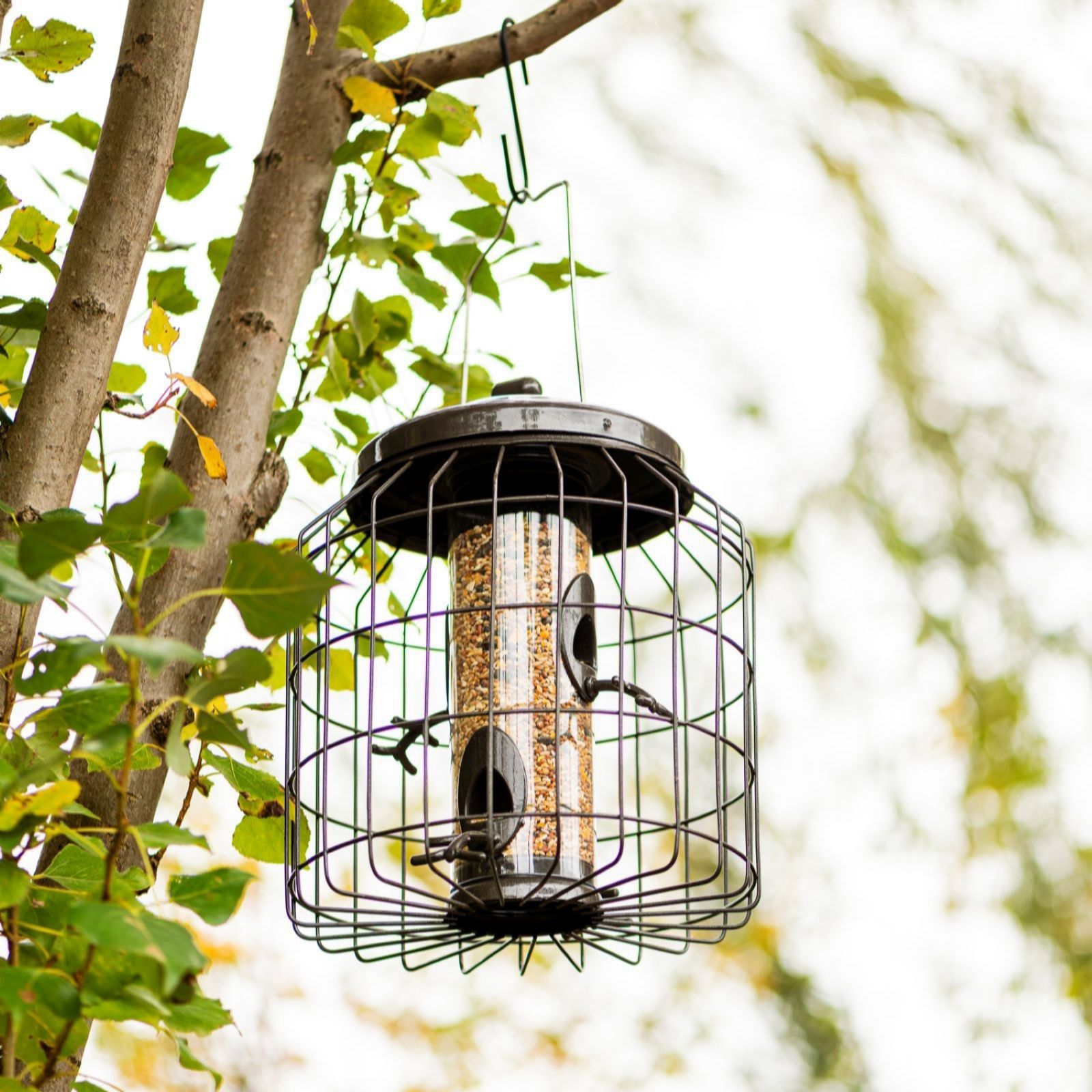 Thompson & Morgan Happy Beaks Premium Squirrel Proof Seed Feeder