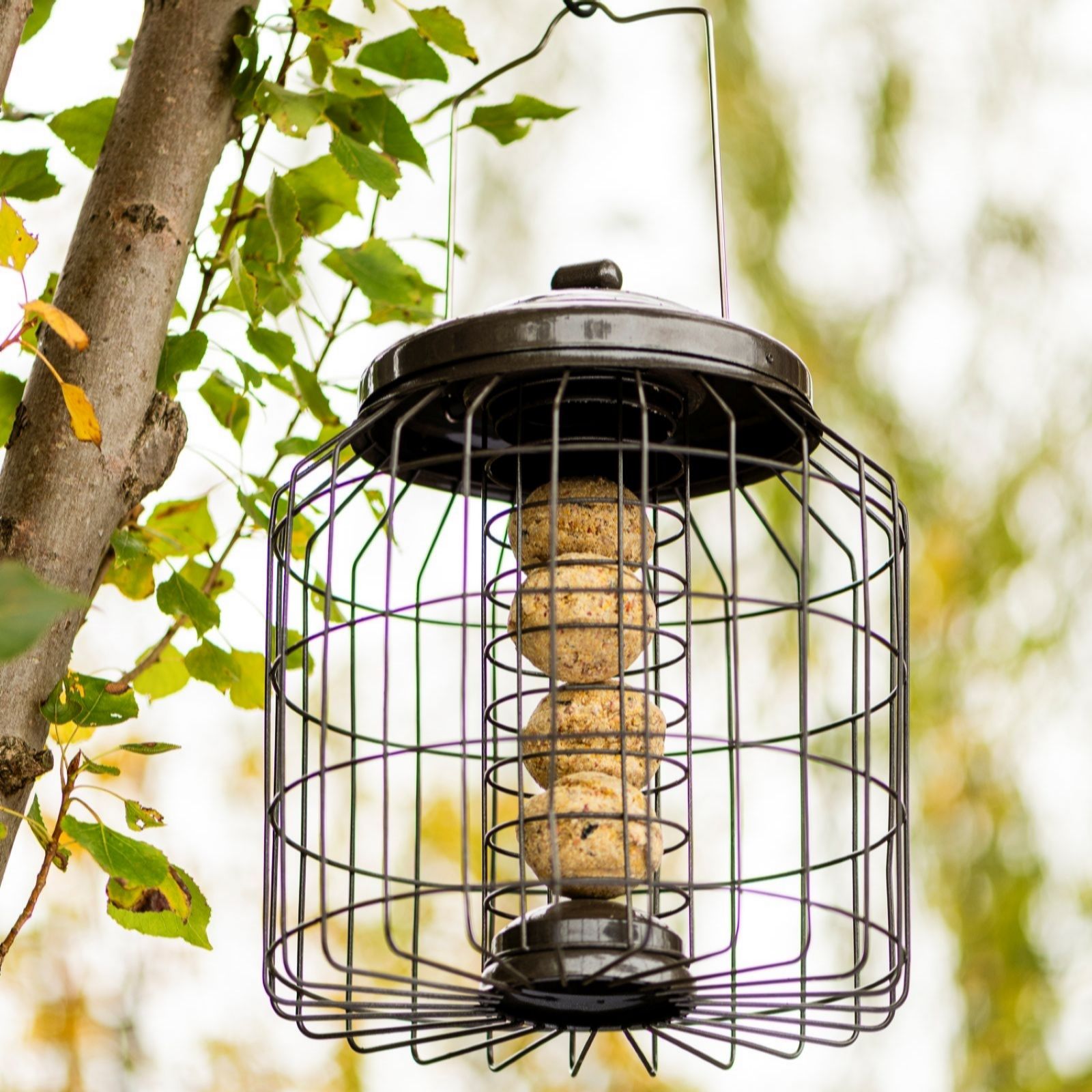 Thompson & Morgan Happy Beaks Premium Squirrel Proof Fat Ball Feeder