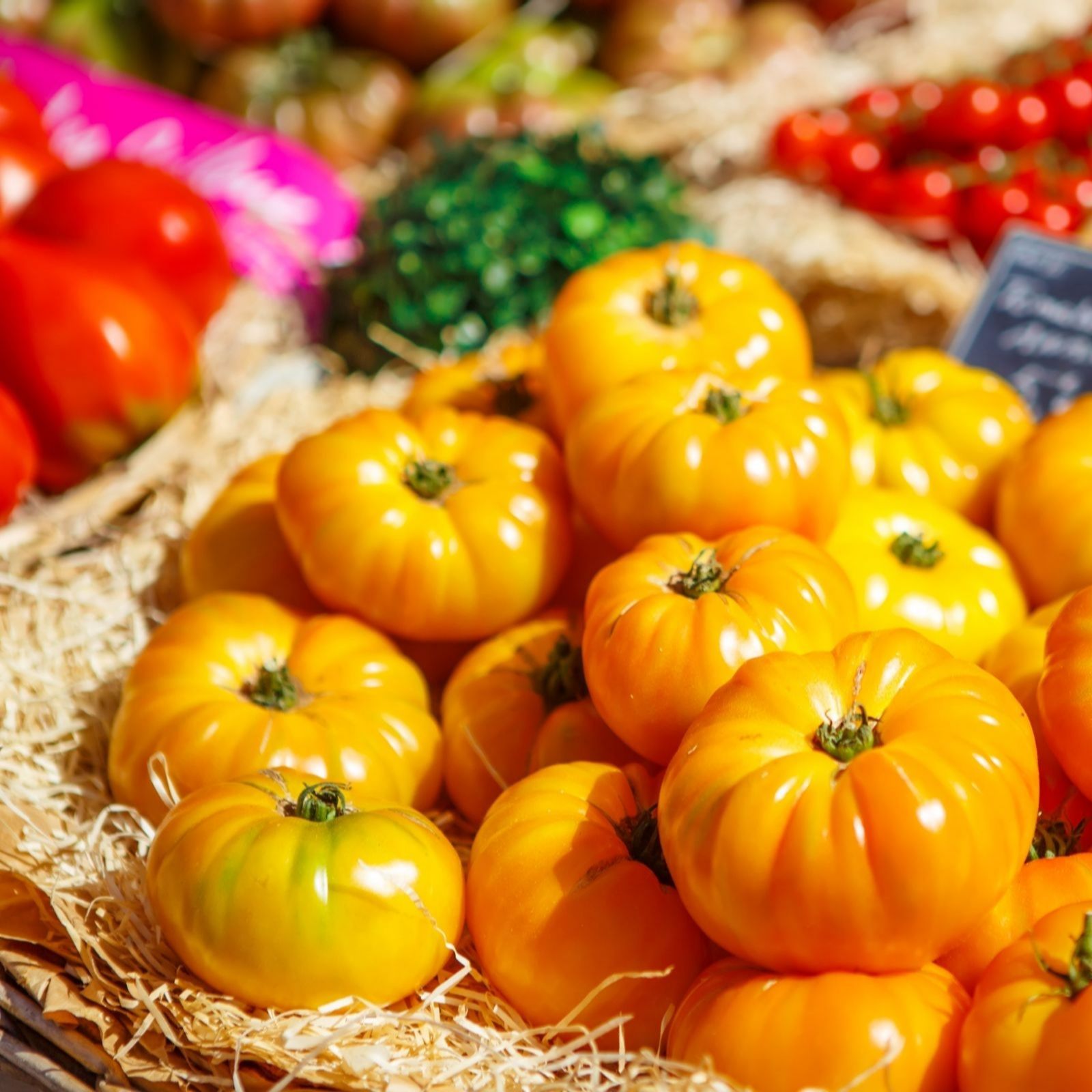 Suttons Tomato Heirloom Beefsteak Pineapple 9cm Pot x 3