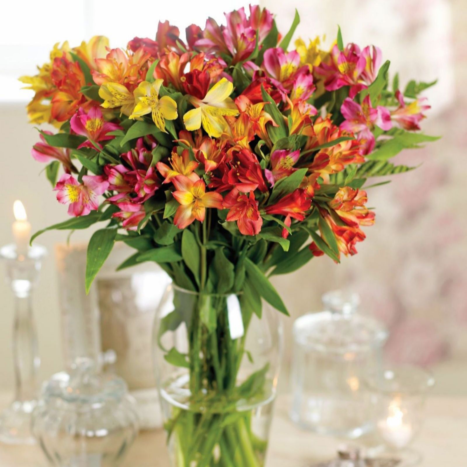 Thompson & Morgan Alstroemeria Garden Hybrids 10 Tubers