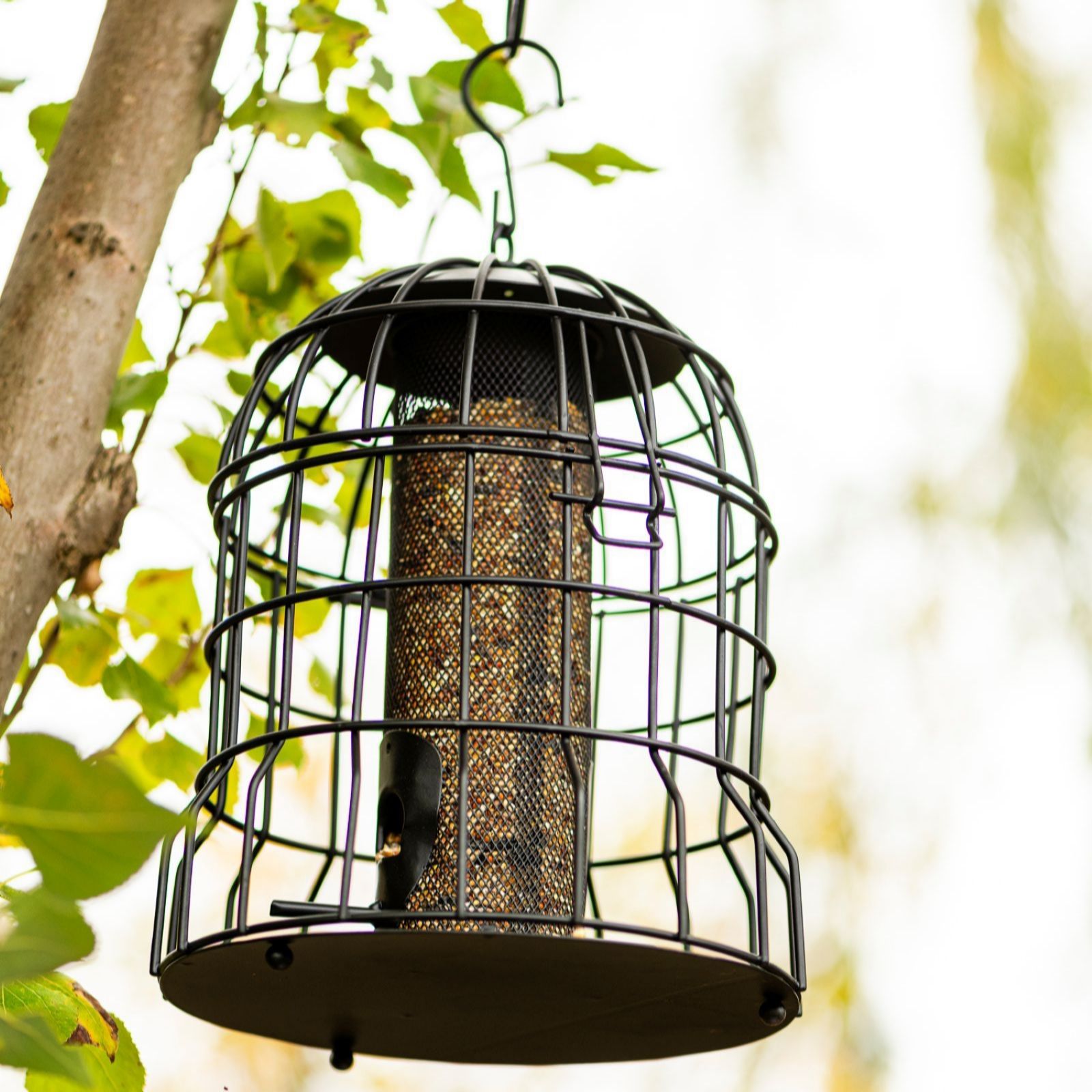 Thompson & Morgan Happy Beaks Premium Squirrel Proof Peanut Feeder