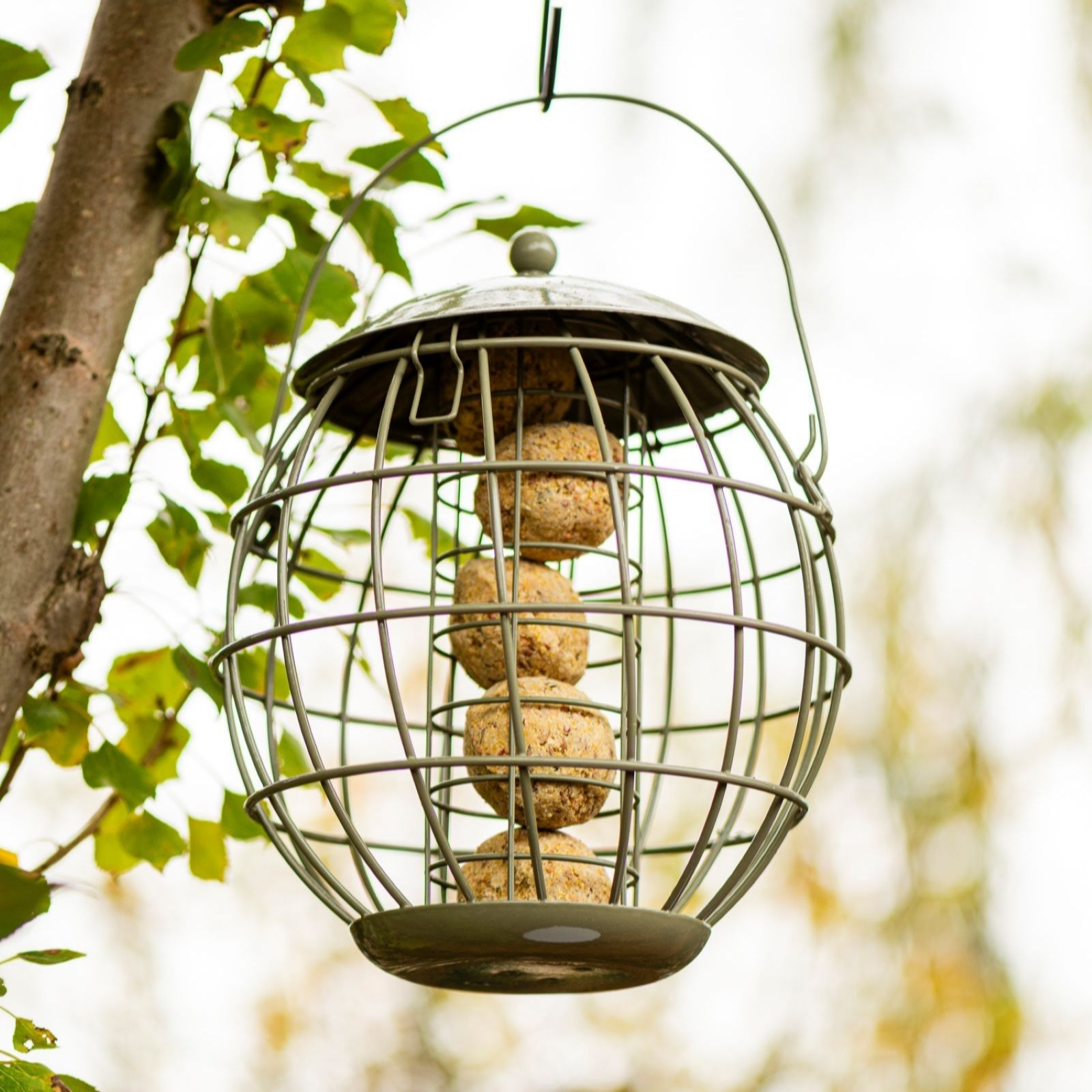 Thompson & Morgan Happy Beaks Orbital Squirrel Proof Fatball Feeder