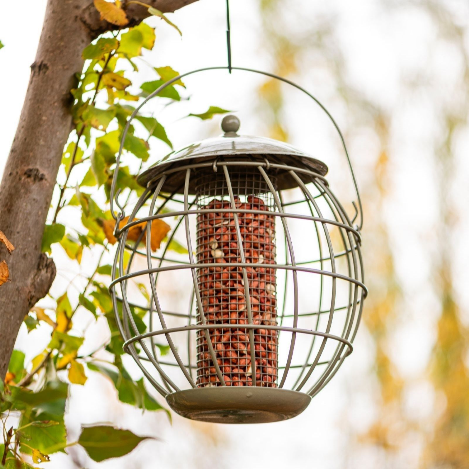 Thompson & Morgan Happy Beaks Orbital Squirrel Proof Peanut Feeder