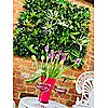 Bundleberry by Amanda Holden Tropical Living Wall, 5 of 5