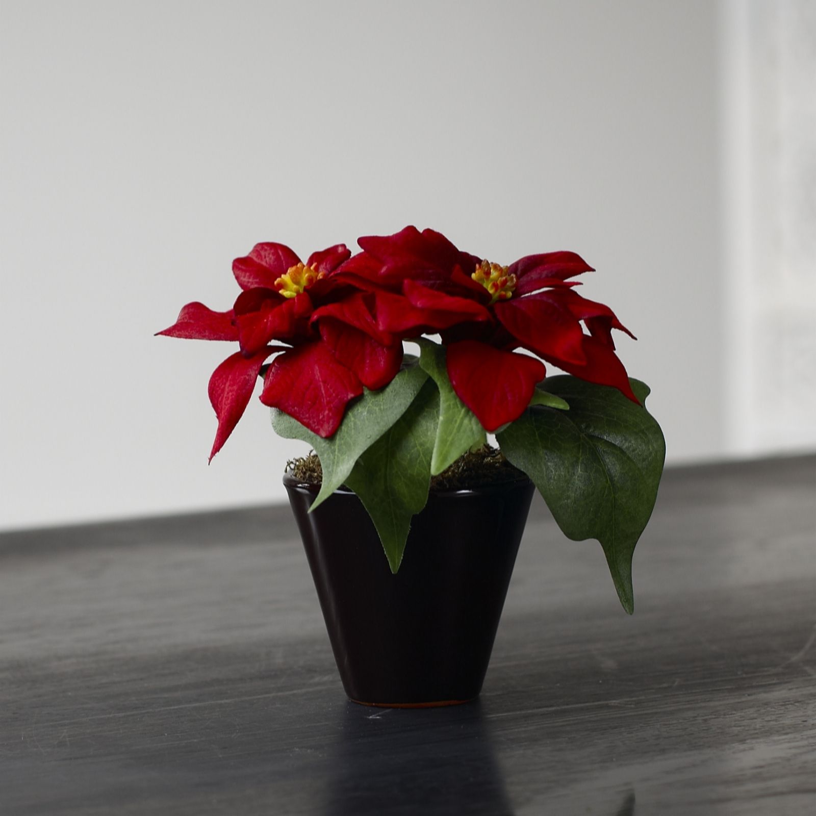 Peony Miniature Poinsettia Faux Flowers in a Pot QVC UK