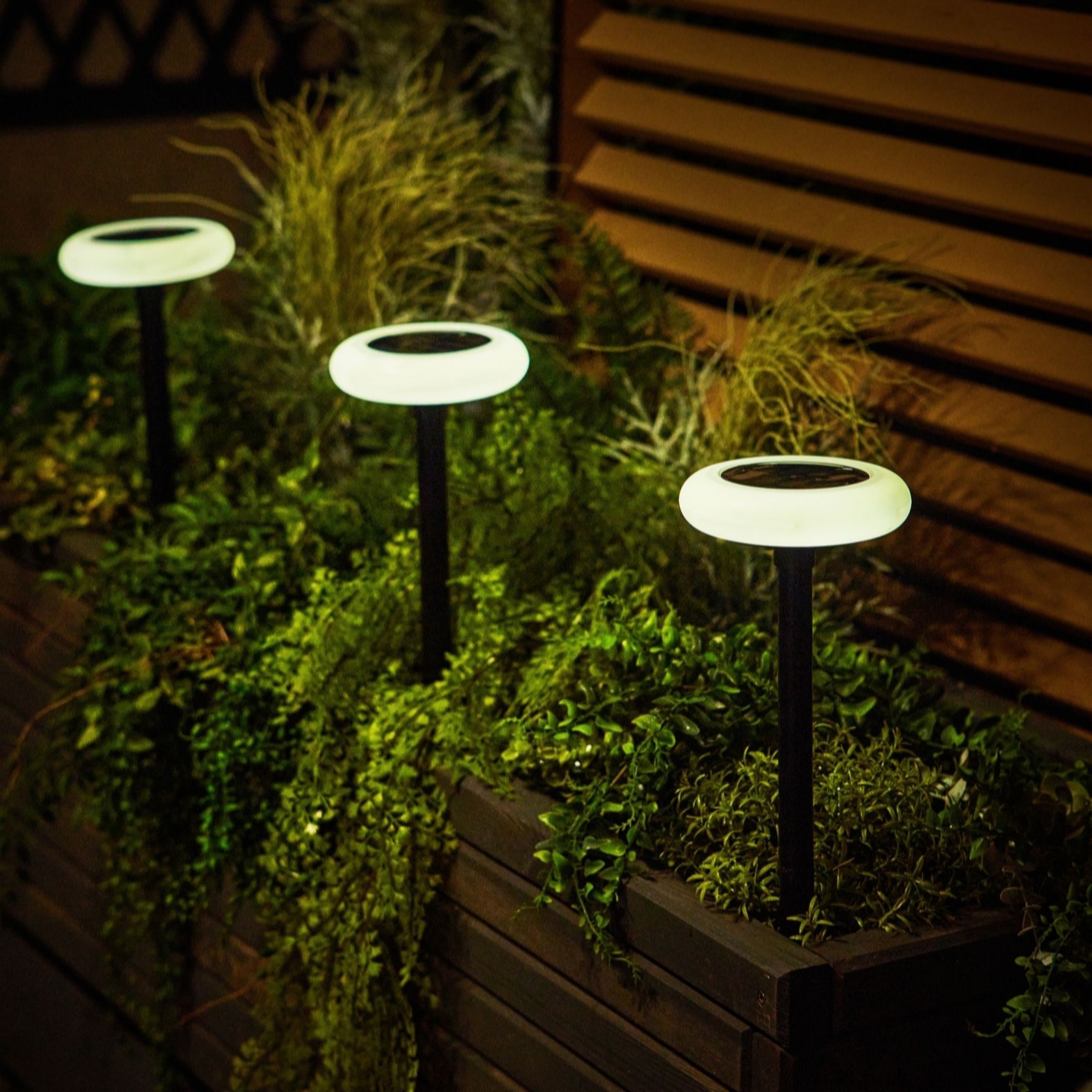 Flourish Solar Ground Stake Light (Set of 4) with Remote