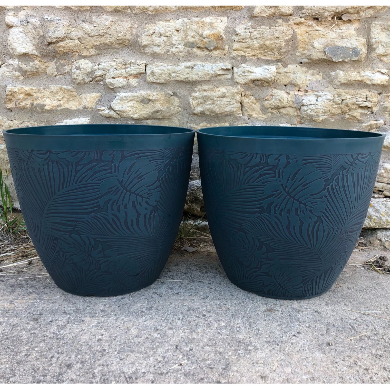 Plants2Gardens Set of Two 41cm Monstera Planters