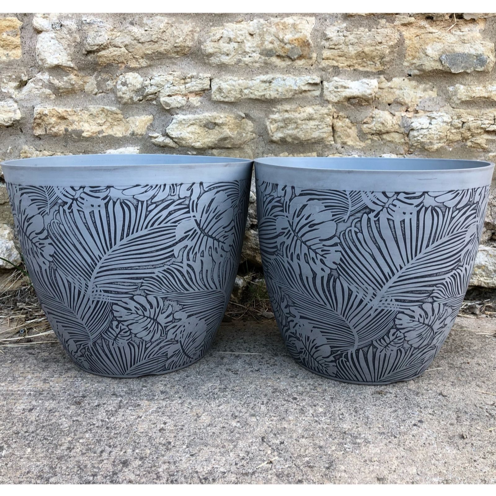 Plants2Gardens Set of Two 41cm Monstera Planters