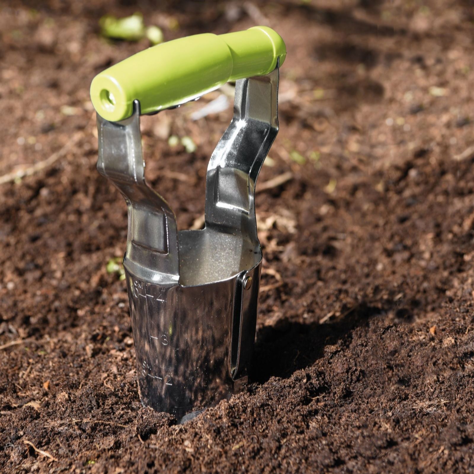 Thompson & Morgan Bulb Planter