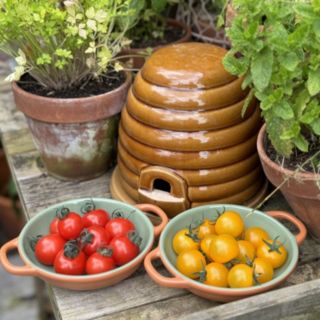 Thompson & Morgan Tomato Honey Duo 9cm x 4