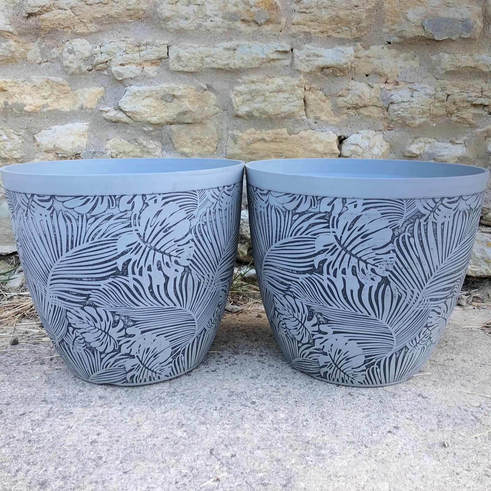 Plants2Gardens Set of Two 35cm Monstera Planters