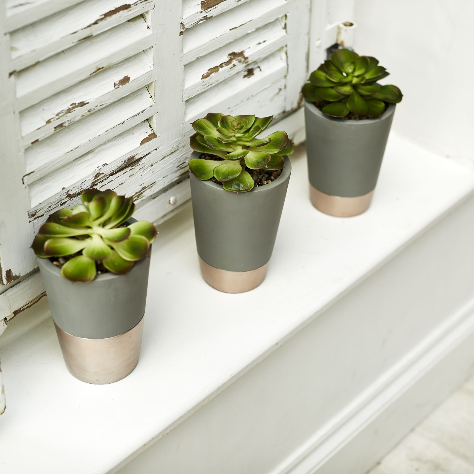 BundleBerry by Amanda Holden Set of 3 Succulents in Concrete Pots QVC UK