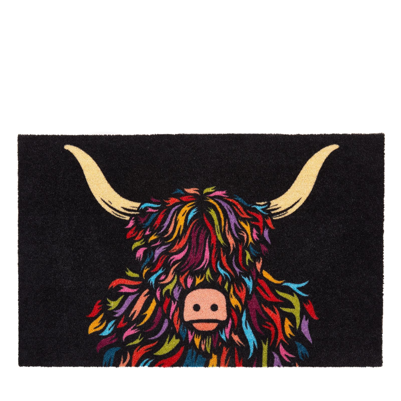 Artsy Mats Indoor Washable Doormat