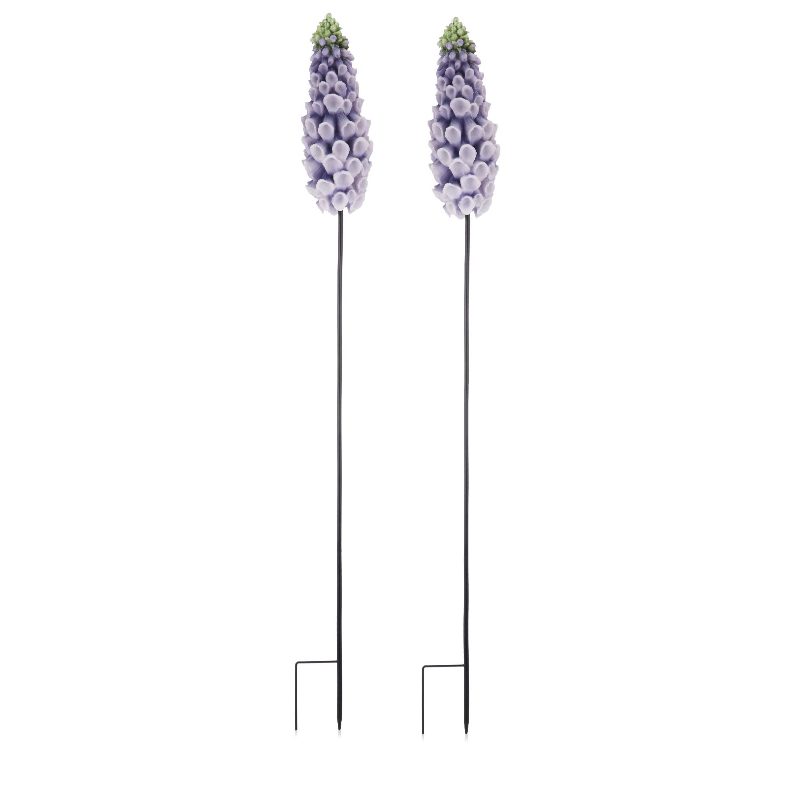 Outlet My Garden Stories Set of 2 Delphinium Garden Stakes
